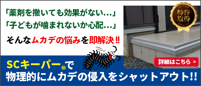 ムカデが家の中に侵入する理由 家の中に棲みつくの? 熊本 佐賀の